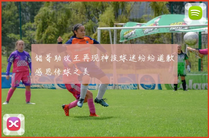 错哥助攻王再现神技球迷纷纷道歉感恩传球之美