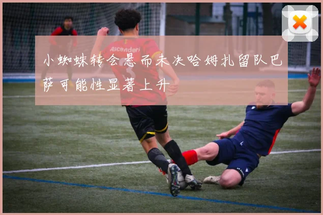 小蜘蛛转会悬而未决哈姆扎留队巴萨可能性显著上升