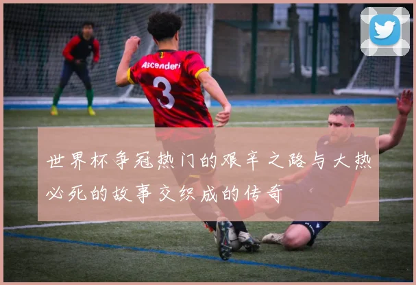世界杯争冠热门的艰辛之路与大热必死的故事交织成的传奇