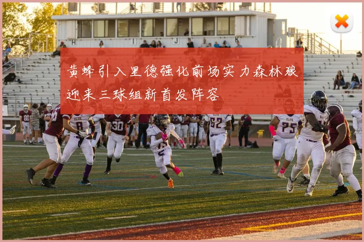 黄蜂引入里德强化前场实力森林狼迎来三球组新首发阵容