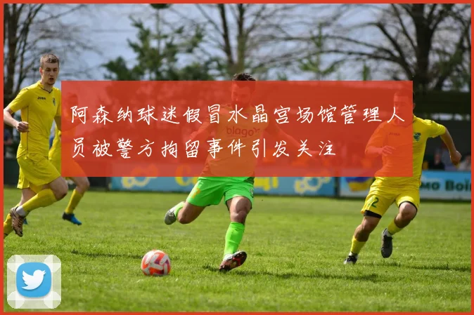 阿森纳球迷假冒水晶宫场馆管理人员被警方拘留事件引发关注