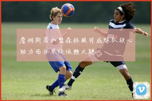 詹姆斯若加盟森林狼将成球队核心助力而非单纯依赖大腿